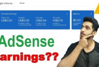 Google Adsense Earnings in India || My Blog Earnings From Adsense