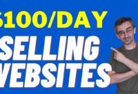 Make 100 Dollars A Day Flipping Websites ( Make Money Online )