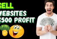 How to Start a Website Flipping Business | Make Money Online