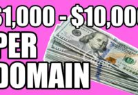 Make $1,000 – $10,000+ Per Domain! Make PayPal Money Online Flipping Domains!